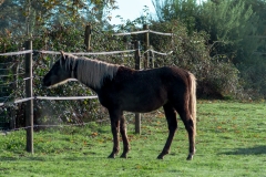 14112019-photo 011