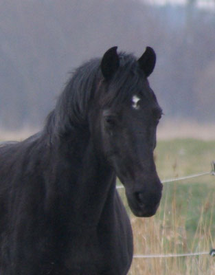 Grand père d'Eddie