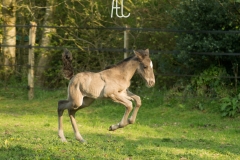 24042022-photo 569