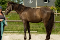 290523 photo 074