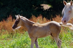 IMGP0438