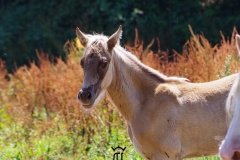 IMGP0439