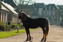 2025-02-02 MT 020225 lamballe 081