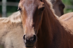 IMGP0506
