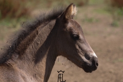 IMGP0536