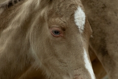 2026-05-13 056