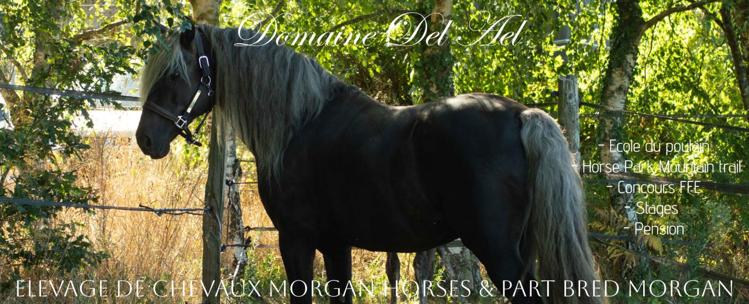 Domaine Del Ael